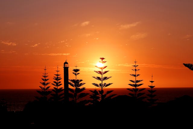 Beautiful deep red sunset in the NT with silhouetted trees.